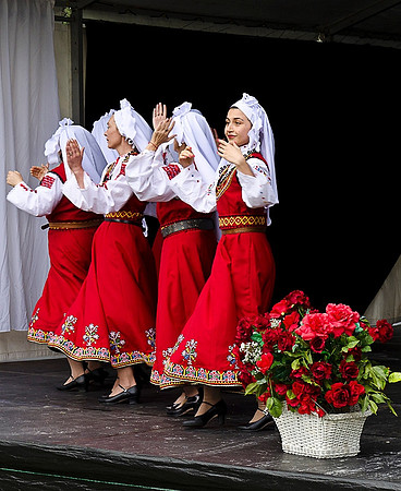 _dsc8919_049