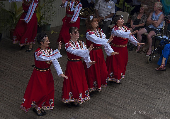 005_dsc6874rozi