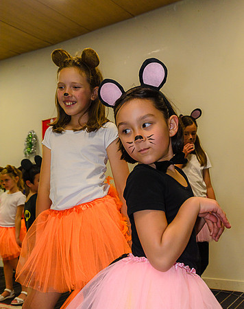 Koleda_NNK8182
