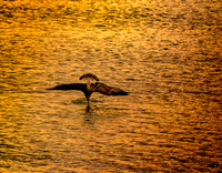 DSC_4845sm