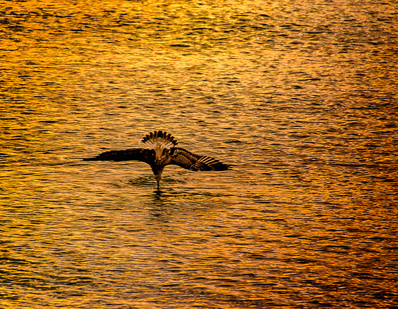 DSC_4845sm